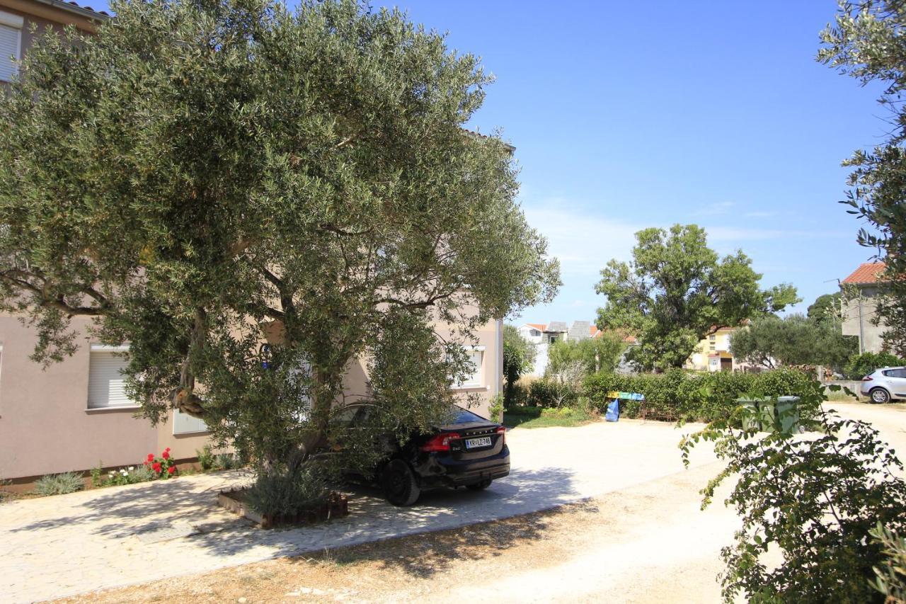 Apartmani Neja Bibinje Exteriér fotografie
